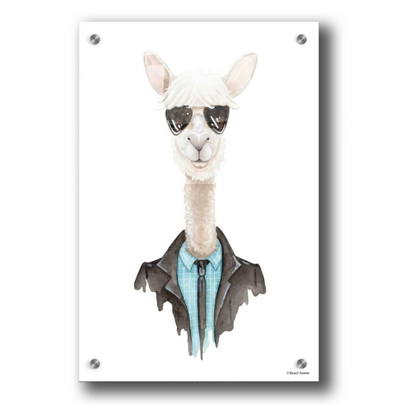 Epic Art 'Alpaca in Aviators' by Rachel Nieman, Acrylic Glass Wall Art, 24"x36"