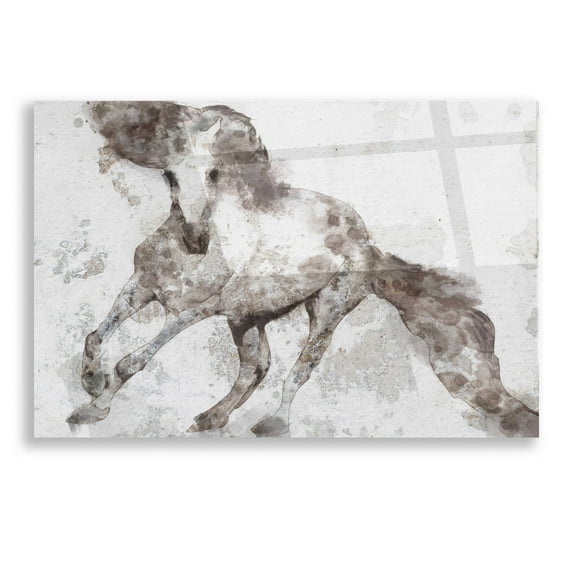 Epic Art 'Alydar Horse' by Irena Orlov, Acrylic Glass Wall Art, 16"x12"