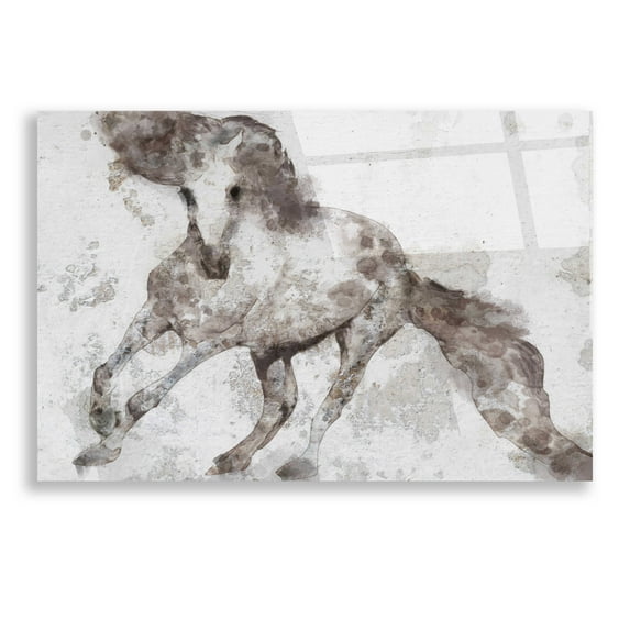 Epic Art 'Alydar Horse' by Irena Orlov, Acrylic Glass Wall Art, 24"x16"