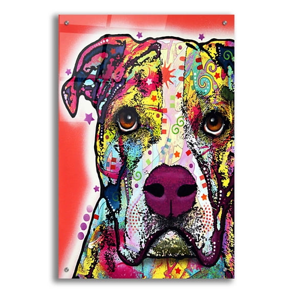 Epic Art 'American Bulldog 1' by Dean Russo, Acrylic Glass Wall Art, 24"x36"