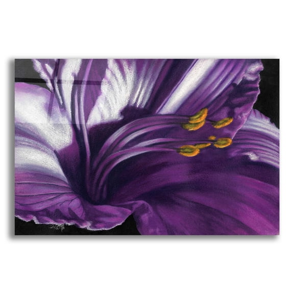 Epic Art 'Amethyst' by Barbara Keith, Acrylic Glass Wall Art, 24"x16"