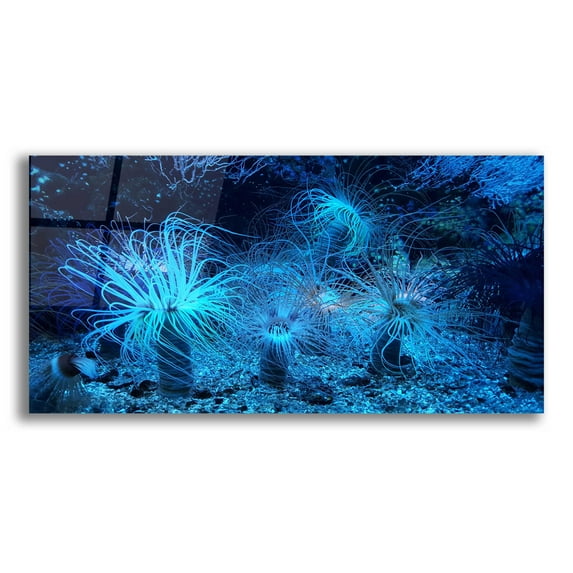 Epic Art 'Anemone Jungle' by Epic Portfolio, Acrylic Glass Wall Art, 24"x12"