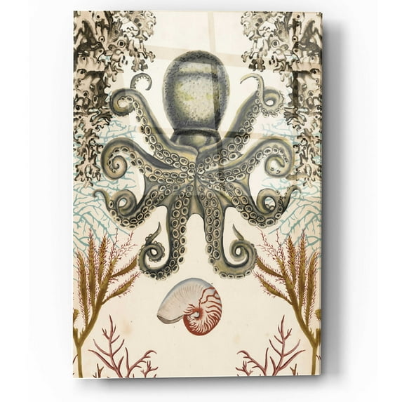 Epic Art 'Antiquarian Menagerie-Octopus' by Naomi McCavitt, Acrylic Glass Wall Art, 12"x16"