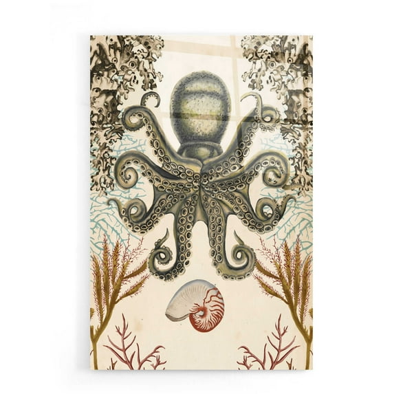 Epic Art 'Antiquarian Menagerie-Octopus' by Naomi McCavitt, Acrylic Glass Wall Art, 16"x24"