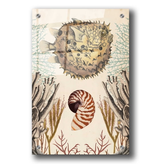 Epic Art 'Antiquarian Menagerie-Puffer Fish' by Naomi McCavitt, Acrylic Glass Wall Art, 24"x36"