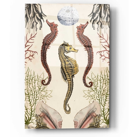 Epic Art 'Antiquarian Menagerie-Seahorse' by Naomi McCavitt, Acrylic Glass Wall Art, 12"x16"