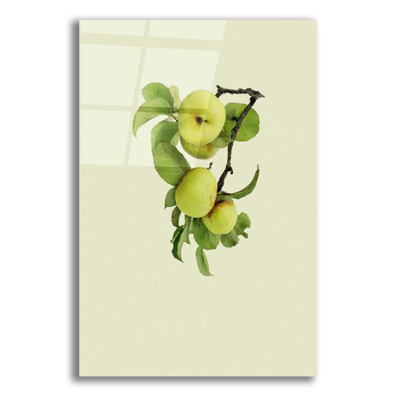 Epic Art 'Apple tree I' by Incado, Acrylic Glass Wall Art, 12"x16"