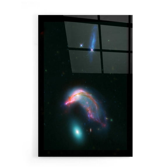 Epic Art 'Arp 142 Penguin and the Egg,' Acrylic Glass Wall Art, 16"x24"