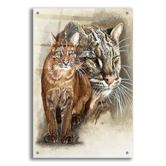 Epic Art 'Asian Golden Cat' by Barbara Keith, Acrylic Glass Wall Art, 24"x36"