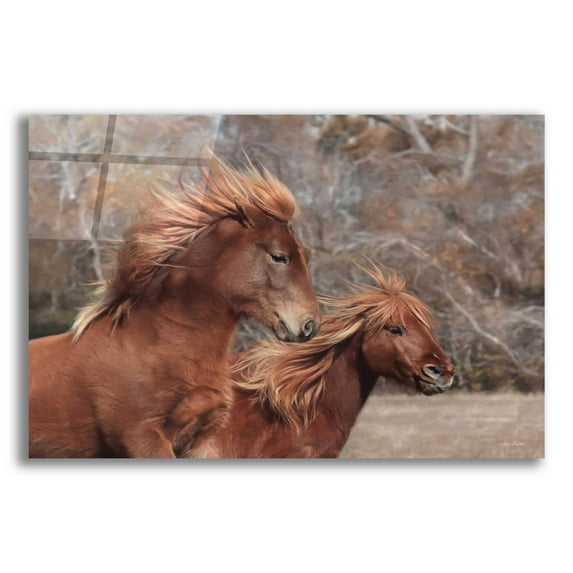 Epic Art 'Assateague Horses II' by Lori Deiter Acrylic Glass Wall Art, 16"x12"