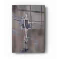 thumbnail image 1 of Epic Art 'At Rest' by Oscar Alvarez Pardo, Acrylic Glass Wall Art, 12"x16", 1 of 2