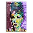 thumbnail image 1 of Epic Art 'Audrey 2' by Dean Russo, Acrylic Glass Wall Art, 12"x16", 1 of 8