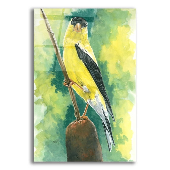 Epic Art 'Aureate' by Barbara Keith, Acrylic Glass Wall Art, 16"x24"