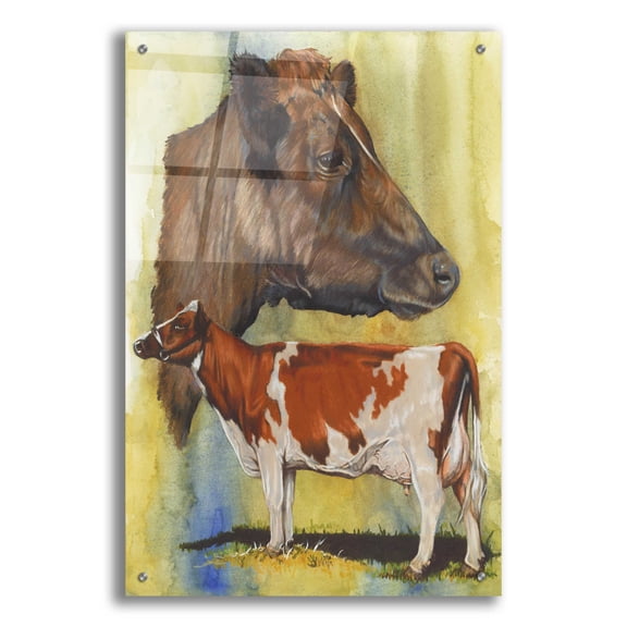 Epic Art 'Ayrshire Cows' by Barbara Keith, Acrylic Glass Wall Art, 24"x36"