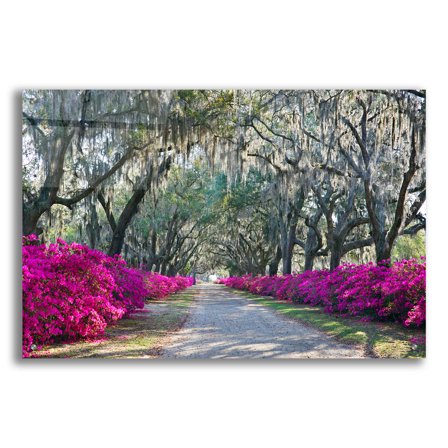 Epic Art 'Azaleas Bonaventure' by Winthrope Hiers, Acrylic Glass Wall Art, 36"x24"