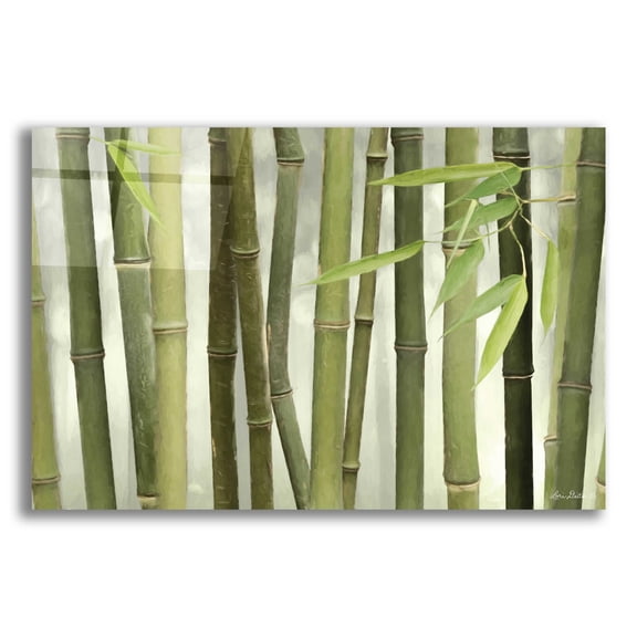 Epic Art 'Backlit Bamboo I' by Lori Deiter Acrylic Glass Wall Art, 16"x12"