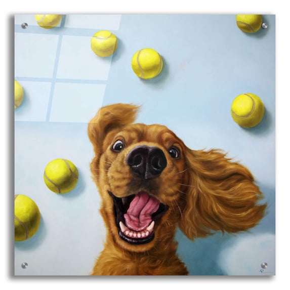 Epic Art 'Ball Boy' by Lucia Heffernan, 24"x24"