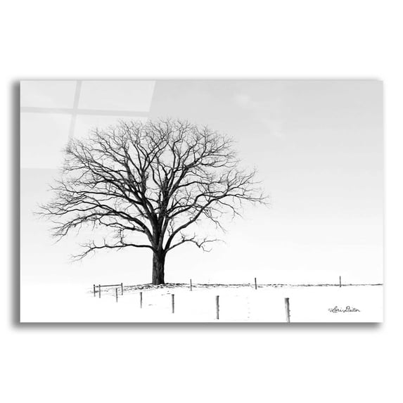 Epic Art 'Bare' by Lori Deiter Acrylic Glass Wall Art, 24"x16"