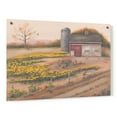 thumbnail image 1 of Epic Art 'Barn & Sunflowers I' by Pam Britton, Acrylic Glass Wall Art, 36"x24", 1 of 5