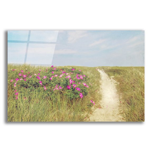 Epic Art ' Beach Roses' by Brooke T. Ryan, Acrylic Glass Wall Art, 24"x16"