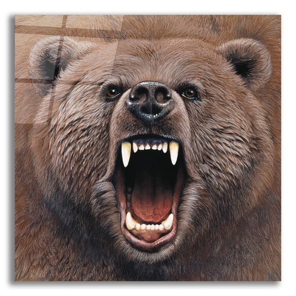 Epic Art 'Bear 2' by Harro Maass, Acrylic Glass Wall Art, 12"x12"