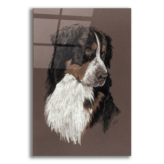 Epic Art 'Bernese Mt. Dog' by Barbara Keith, Acrylic Glass Wall Art, 12"x16"