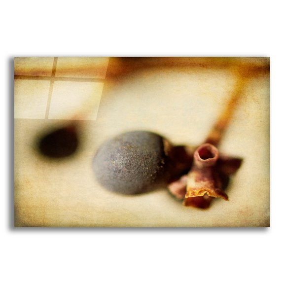 Epic Art 'Berries 2' by Jessica Rogers, Acrylic Glass Wall Art, 24"x16"