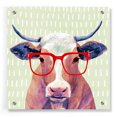 thumbnail image 1 of Epic Art 'Bespectacled Bovine I' by Victoria Borges, Acrylic Glass Wall Art, 36"x36", 1 of 7