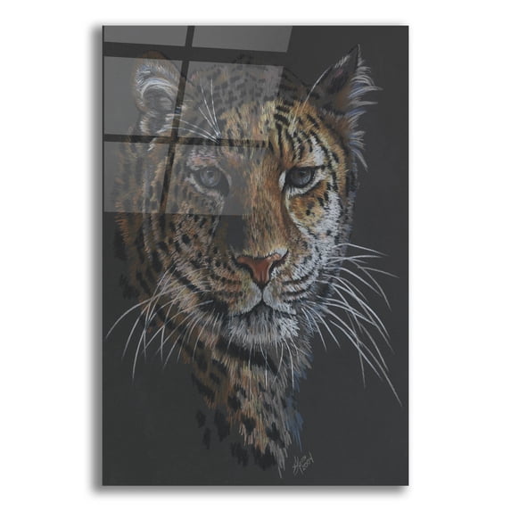 Epic Art 'Bewitching' by Barbara Keith, Acrylic Glass Wall Art, 12"x16"