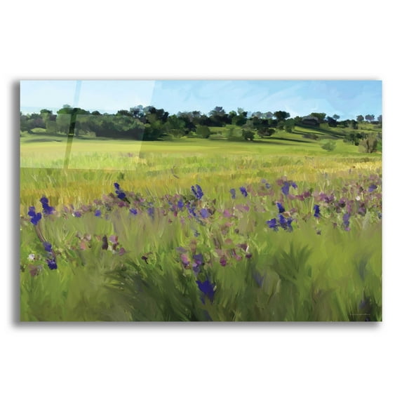 Epic Art 'Bidwell Park' by Kamdon Kreations, Acrylic Glass Wall Art, 24"x16"