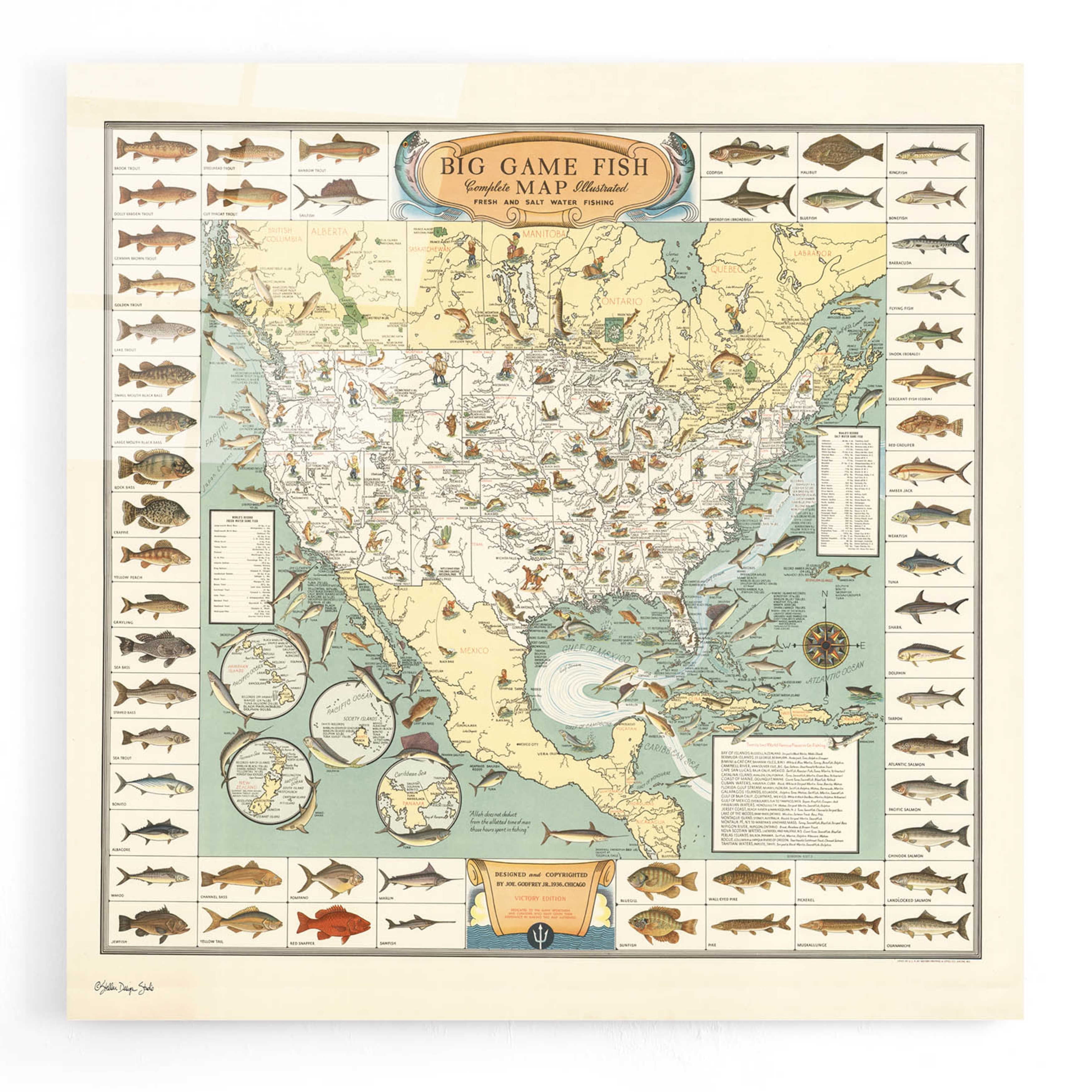 Big Game Fish Map Acrylic Glass Wall Art, 12" x 12"