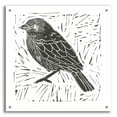 thumbnail image 1 of Epic Art 'Bird Element I' by Courtney Prahl, Acrylic Glass Wall Art, 24"x24", 1 of 8