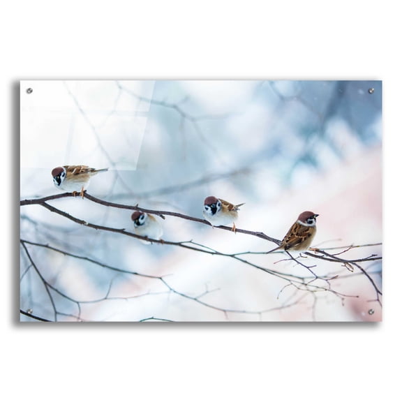 Epic Art 'Bird Feeders Treehouse' by Epic Portfolio, Acrylic Glass Wall Art, 36"x24"