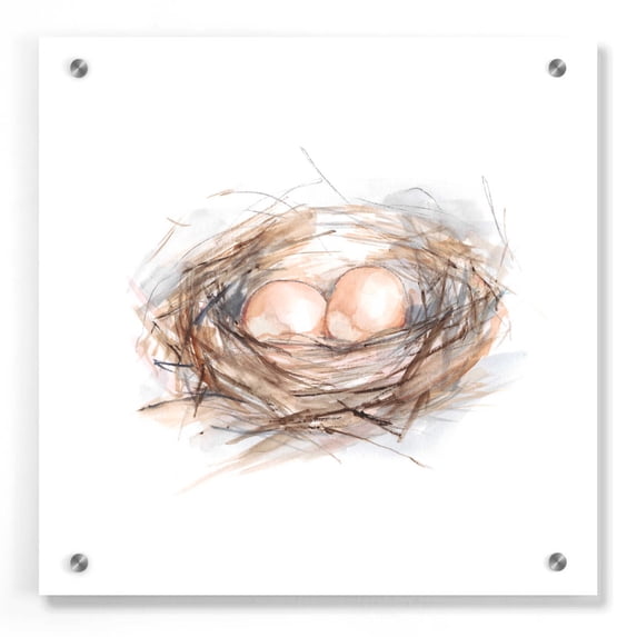 Epic Art "Bird Life IV" by Ethan Harper, Acrylic Glass Wall Art, 36"x36"