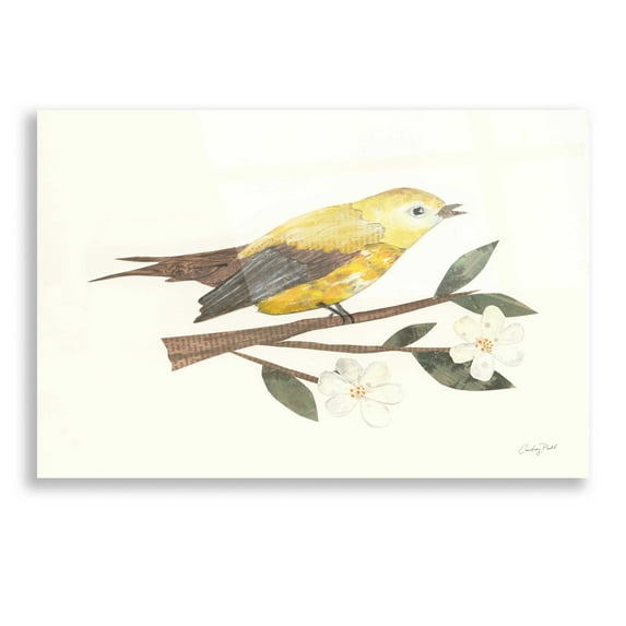 Epic Art 'Birds and Blossoms I' by Courtney Prahl, Acrylic Glass Wall Art, 16"x12"