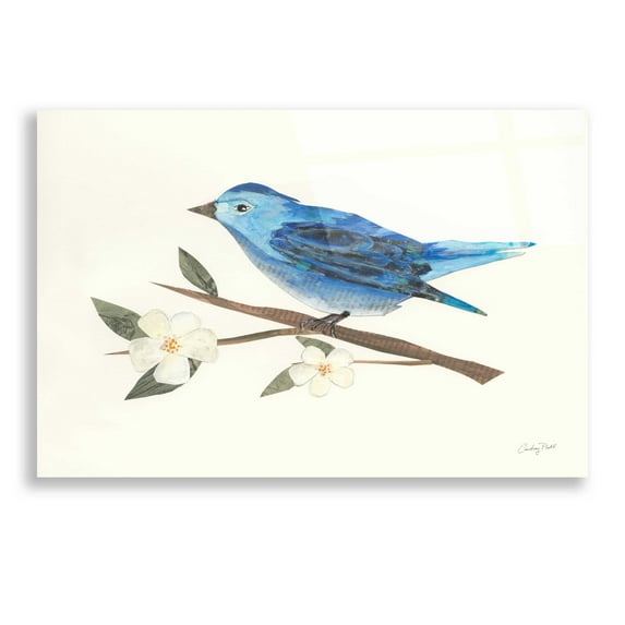 Epic Art 'Birds and Blossoms II' by Courtney Prahl, Acrylic Glass Wall Art, 24"x16"