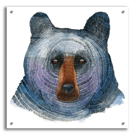 Epic Art ' Black Bear' by Jeannine Saylor, Acrylic Glass Wall Art, 24"x24"