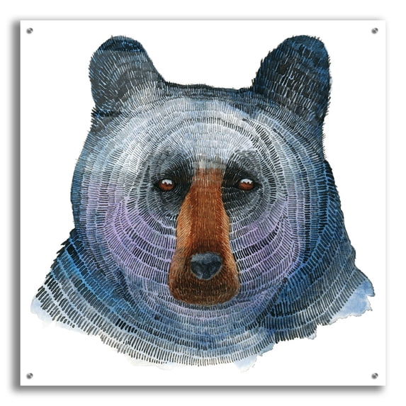 Epic Art ' Black Bear' by Jeannine Saylor, Acrylic Glass Wall Art, 36"x36"