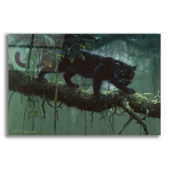 Epic Art 'Black Jaguar' by Harro Maass, Acrylic Glass Wall Art, 24"x16"