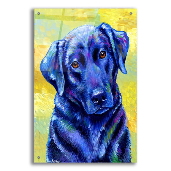 Epic Art 'Black Labrador Retriever' by Rebecca Wang Art, Acrylic Glass Wall Art, 24"x36"
