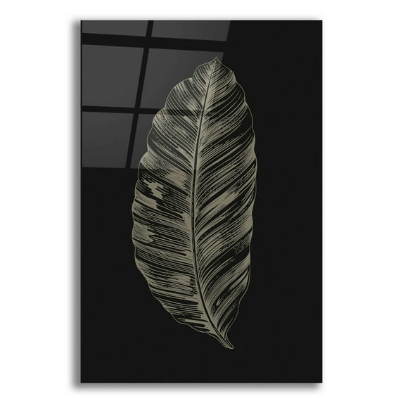 Epic Art 'Black Leaf' by Design Fabrikken, Acrylic Glass Wall Art, 16"x24"