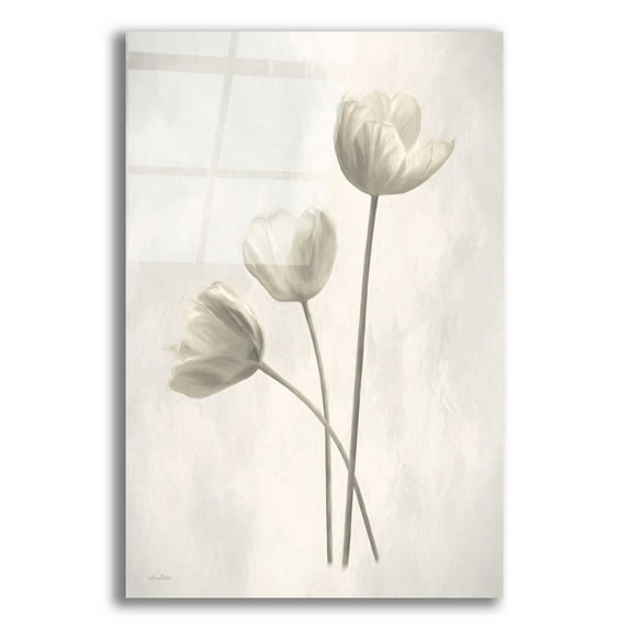 Epic Art 'Bleached Tulips I' by Lori Deiter Acrylic Glass Wall Art, 16"x24"