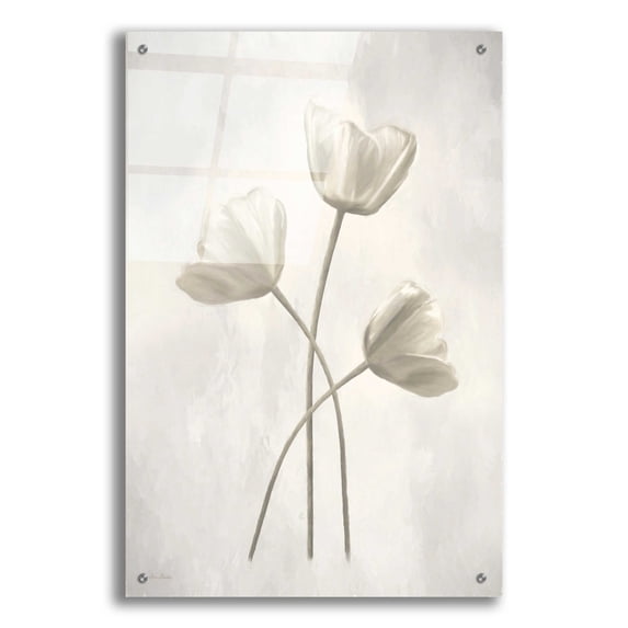 Epic Art 'Bleached Tulips II' by Lori Deiter Acrylic Glass Wall Art, 24"x36"