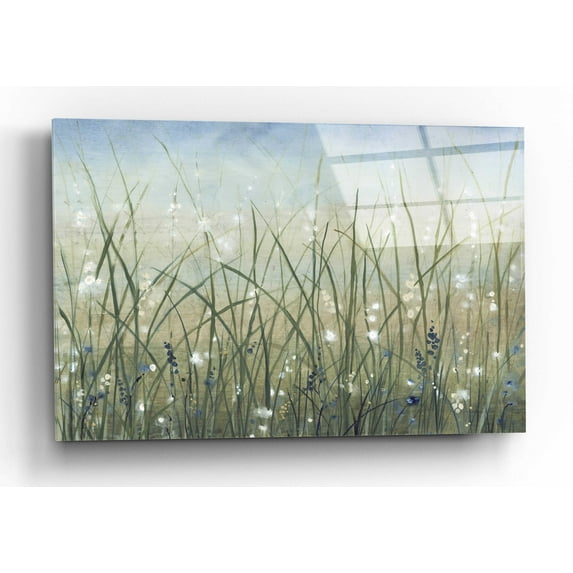 Epic Art 'Bliss II' by Tim O'Toole, Acrylic Glass Wall Art, 24"x16"