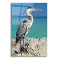 thumbnail image 1 of Epic Art 'Blue Heron' by Mike Jones, Acrylic Glass Wall Art, 16"x24", 1 of 8