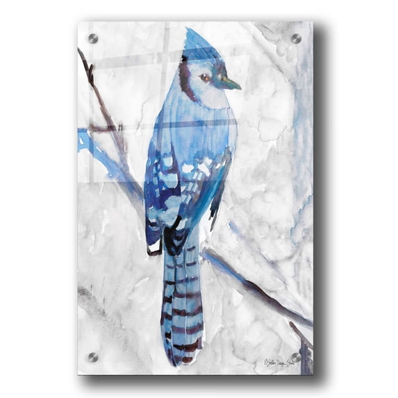 Epic Art 'Blue Jay 1' by Stellar Design Studio, Acrylic Glass Wall Art, 24"x36"