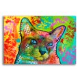 thumbnail image 1 of Epic Art 'Blue Point Siamese' by Dean Russo Acrylic Glass Wall Art, 24" x 16", 1 of 6