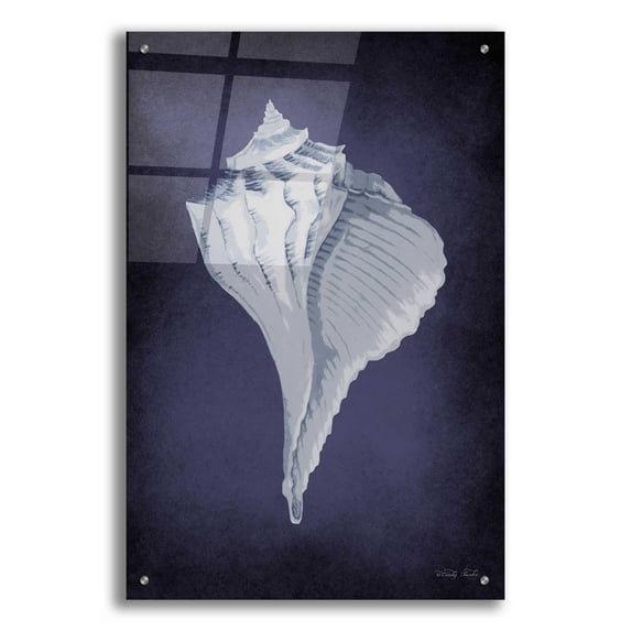 Epic Art 'Blue Seashell II' by Cindy Jacobs, Acrylic Glass Wall Art, 24"x36"