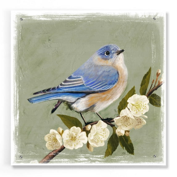 Epic Art 'Bluebird Branch I' by Victoria Borges, Acrylic Glass Wall Art, 24"x24"