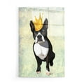 thumbnail image 1 of Epic Art 'Boston Terrier and Crown' by Fab Funky, Acrylic Glass Wall Art, 16"x24", 1 of 3